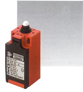 Plastic bodied limit switch