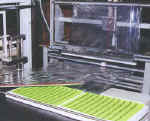 lsealer.jpg (113112 bytes)